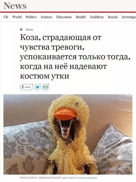 Смешная картинка №203124 Вернемся к важным новостям