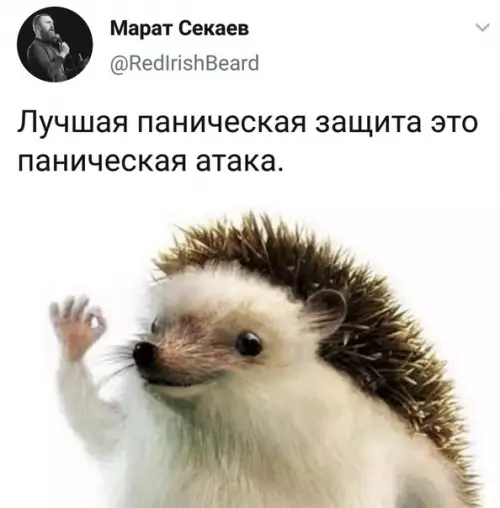 Смешная картинка №498517 Мем смешнoй, a ситyaция стрaшнaя.