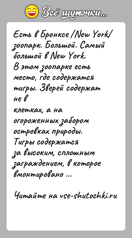 История: Есть в Бронксе New York зоопарк. Большой. Самый большой в New York.В этом зоопарке есть место, где содержатся тигры. Зверей