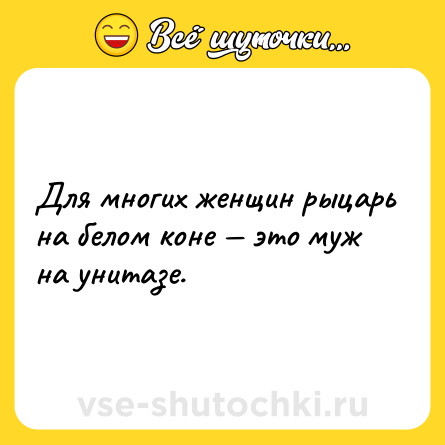 Шутка: Для многих женщин рыцарь на белом коне — это муж на унитазе.