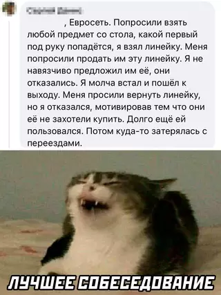 Смешная картинка №661844 собеседования