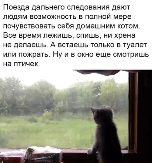 Смешная картинка №457016 Романтика путешествий