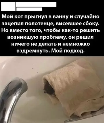 Смешная картинка №776422