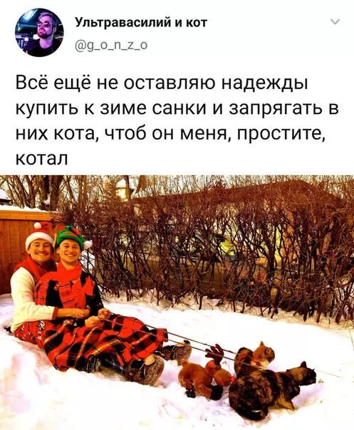 Смешная картинка №537762 Чтобы КОТал из КОТтеджа на КОТок