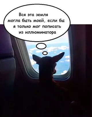 Смешная картинка №662281