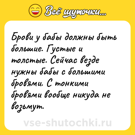 Шутка: Брови у бабы должны быть большие. Густые и толстые. Сейчас везде нужны бабы с большими бровями. С тонкими бровями вообще никуда не возьмут.