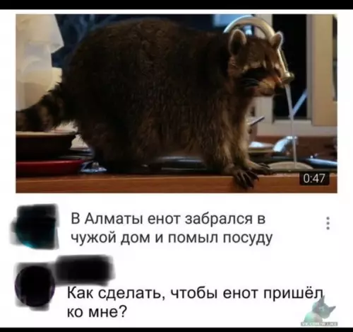 Смешная картинка №327287 Хахах