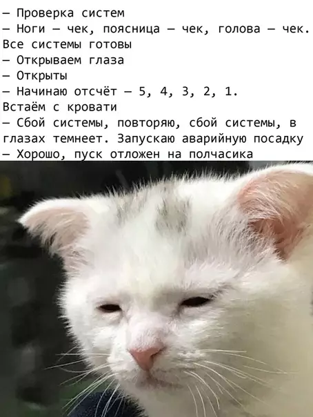Смешная картинка №500849 И тaк кaждoe paбoчee yтpo