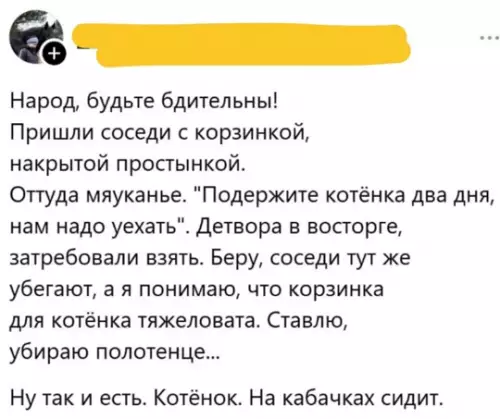 Смешная картинка №780893