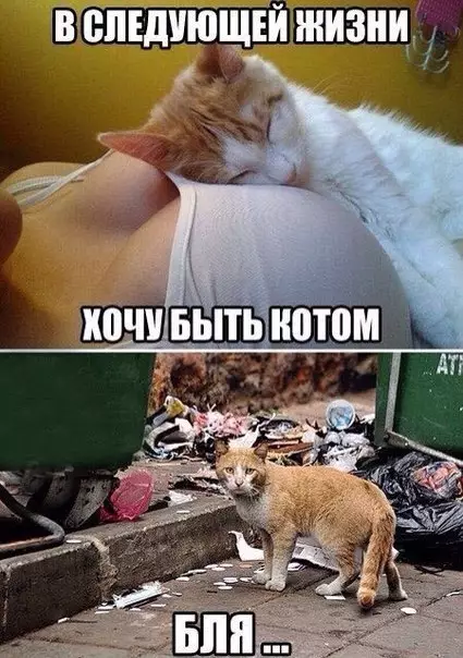 Смешная картинка №262891