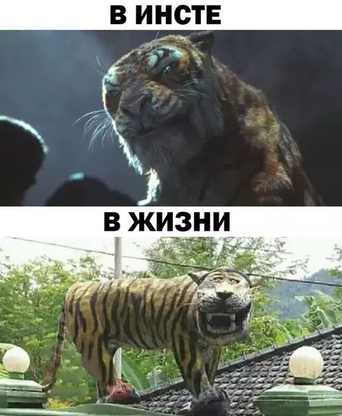 Смешная картинка №278850