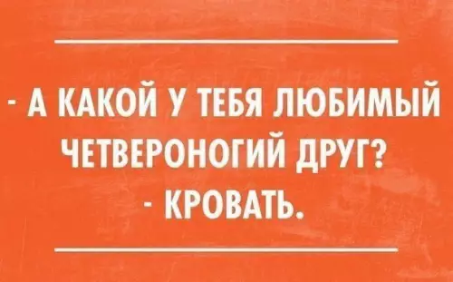 Смешная картинка №295745