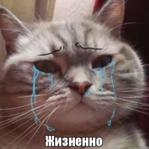 продолжение Смешная картинка №575207 Это очень сложно взрослые
