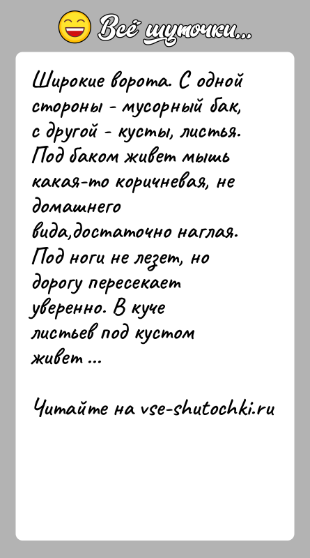 История: Широкие ворота. С одной стороны - мусорный бак, с другой - кусты, листья. Под баком живет мышь какая-то коричневая, не