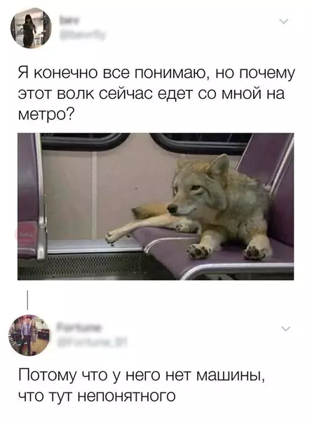 Смешная картинка №241918