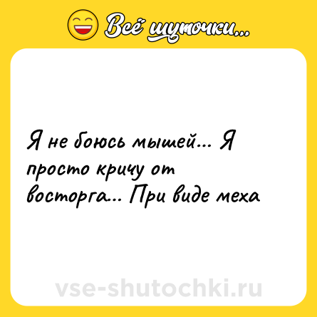 Шутка: Я не боюсь мышей… Я просто кричу от восторга… При виде меха