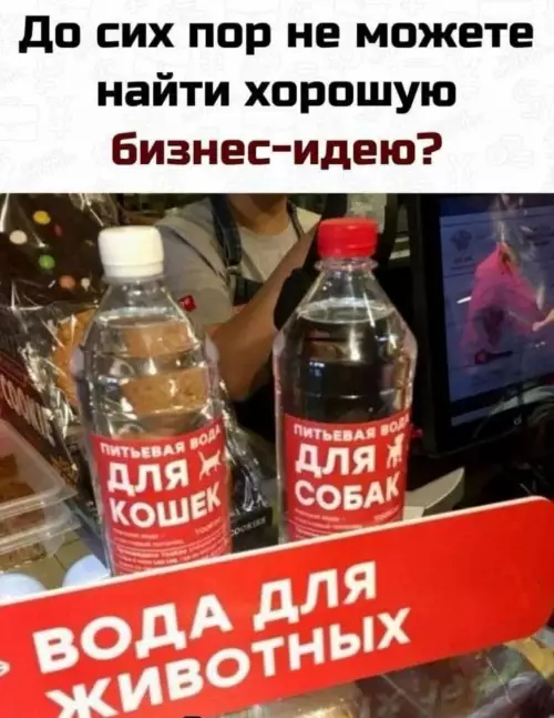 Нестандартный бизнес: вода для питомцев