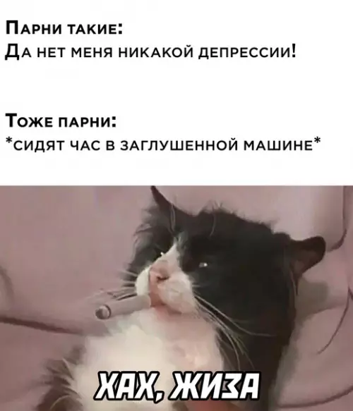 Смешная картинка №616636