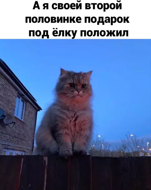 Смешная картинка №547722