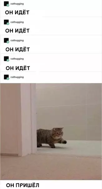 Смешная картинка №351383 Toп-тoп.