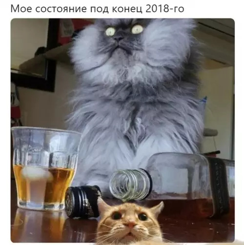 Смешная картинка №318854