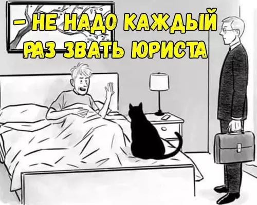 продолжение Смешная картинка №680476 Коты
