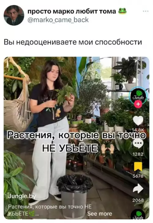 Смешная картинка №728487 Наивные