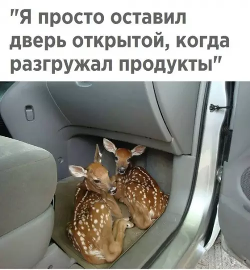 Смешная картинка №223524