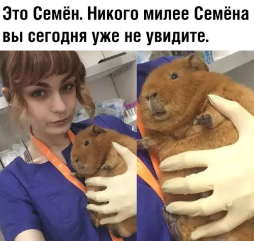 Смешная картинка №349566 Листай дальше!