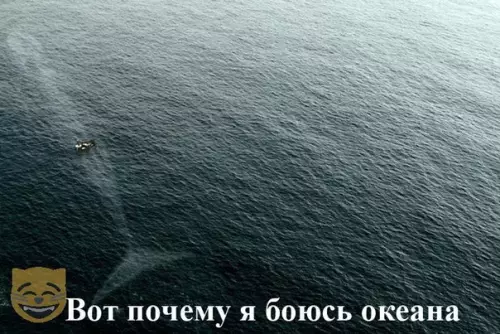 Смешная картинка №327977
