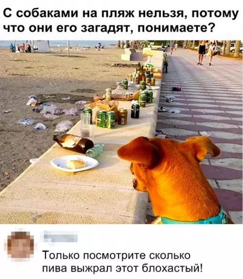Смешная картинка №362242