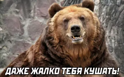 продолжение Смешная картинка №590162
