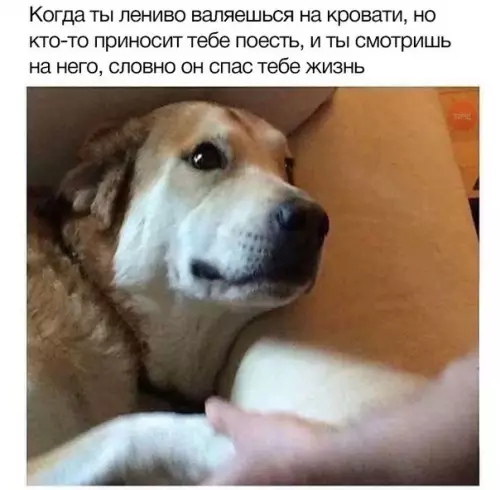 Смешная картинка №274521
