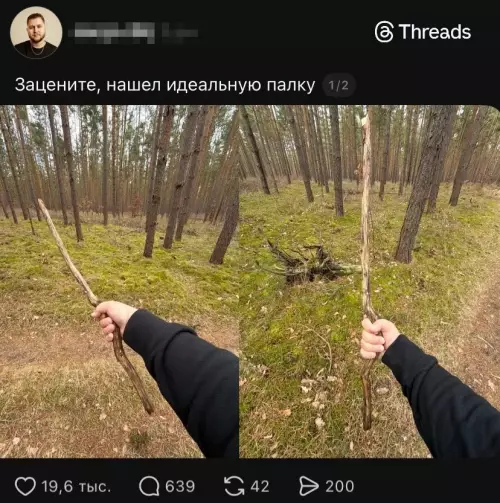 Идеальная палка в лесу