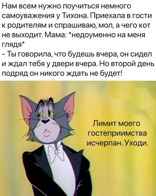 Смешная картинка №691233 Коты