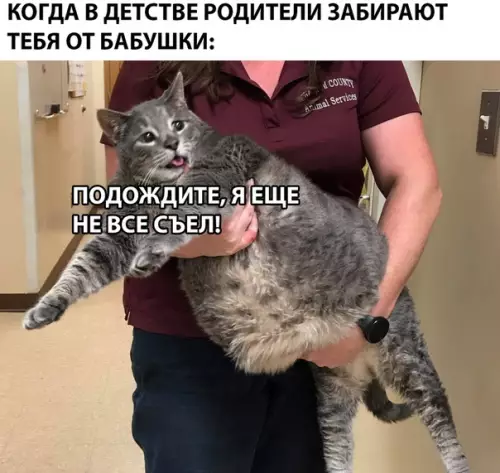 Смешная картинка №291122