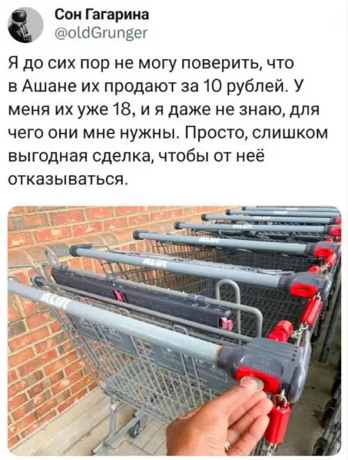 Мастер по сбору монет в Ашане 🪙😂 - Я до сих пор не могу поверить, что в Ашане