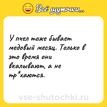 Шутка: У пчел тоже бывает медовый месяц. Только в это время они вкалывают, а не тр*хаются.
