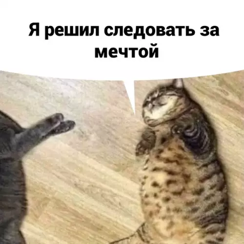 продолжение Смешная картинка №586193 Meчты должны сбываться
