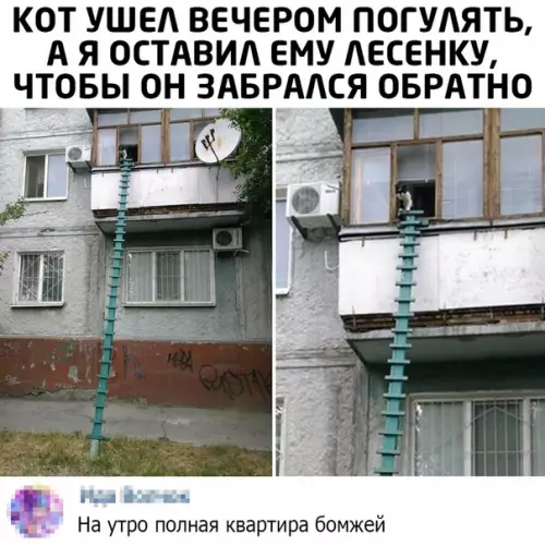 Смешная картинка №502867