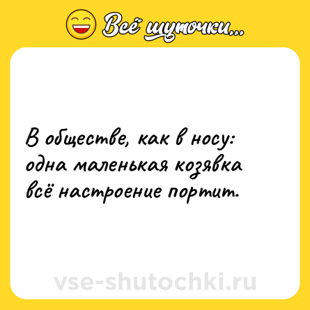 Шутка: В обществе, как в носу: одна маленькая козявка всё настроение портит.