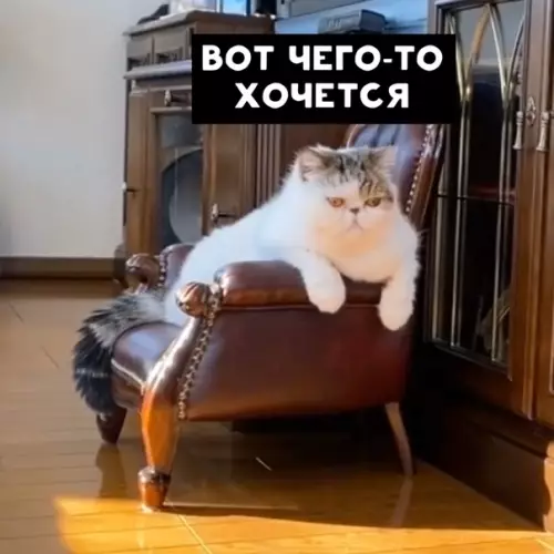 Смешная картинка №446172 Всегда кстати