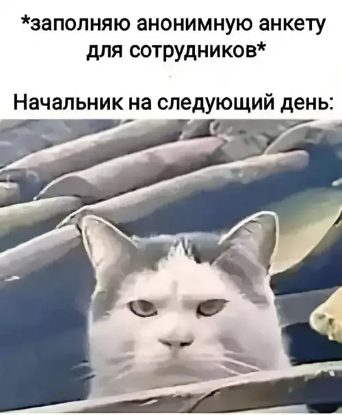 Смешная картинка №780479