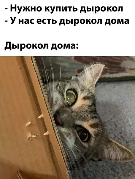 Смешная картинка №619828