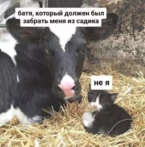 Смешная картинка №680033