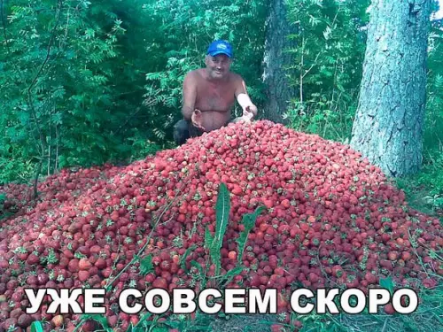 Смешная картинка №182803