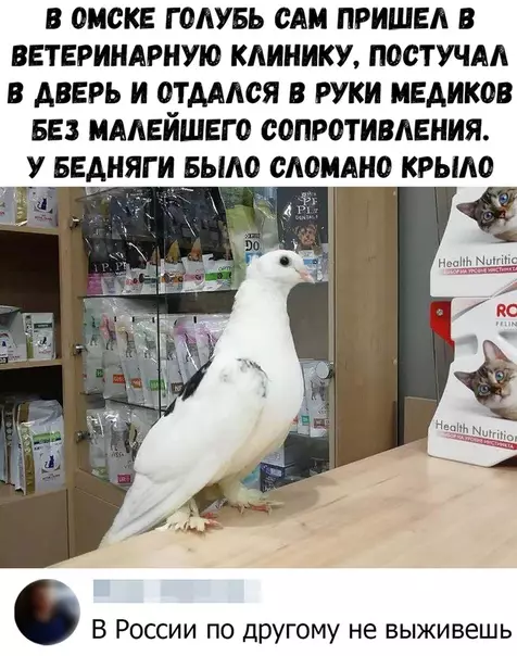 Смешная картинка №381182