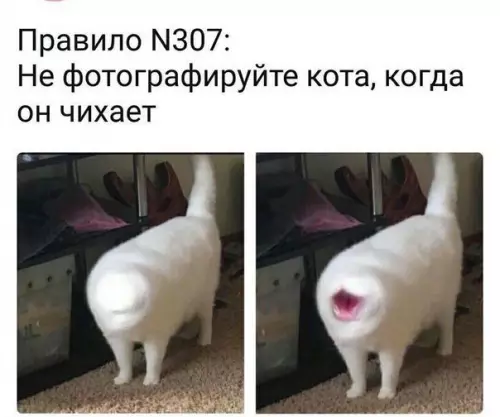 Смешная картинка №214078