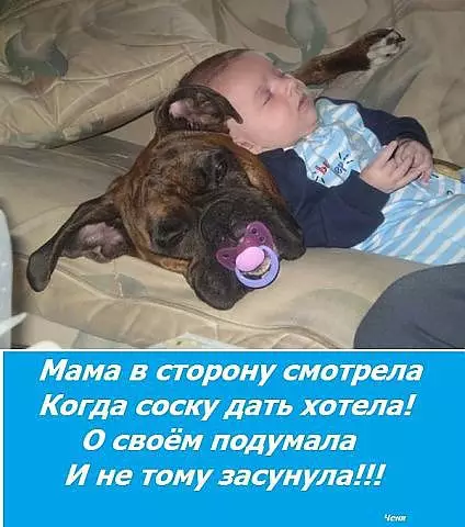 Смешная картинка №184313 ПРОМАЗАЛА