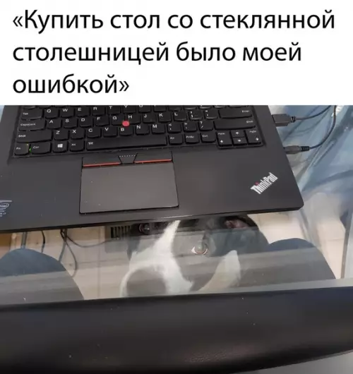Смешная картинка №482797